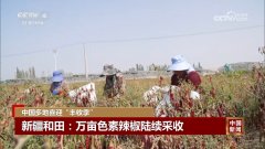 金秋时节处处好“丰”景中国多地喜送“