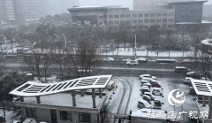 驻马店：加强农田办理 应对雨雪气候