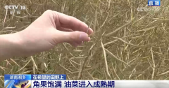 科技赋能农业出产描画出一幅幅“数字耕
